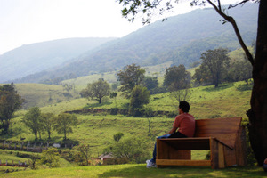 View near Temple