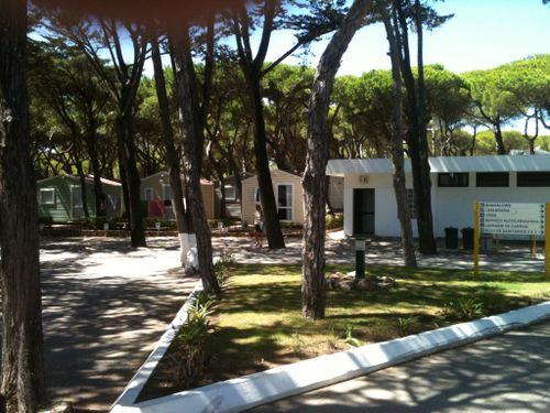 guincho camping_bungalows 1